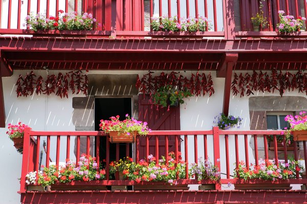 Pourquoi choisir la villa bleue, hébergement de charme lors d'un séjour au Pays Basque ?